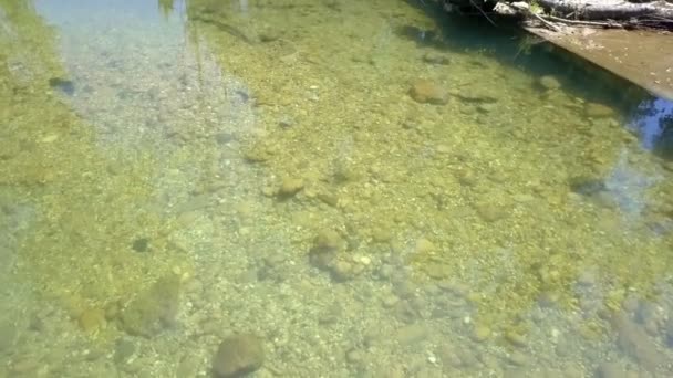 Many Stones Pebbles River River Looks Bit Yellowish — Stock Video