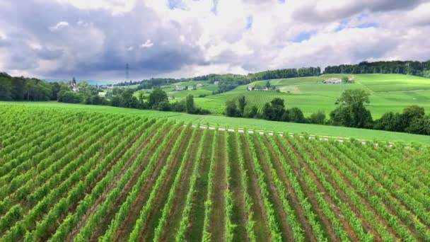 Séquences Beau Champ Agricole Avec Des Arbres Fruitiers — Video