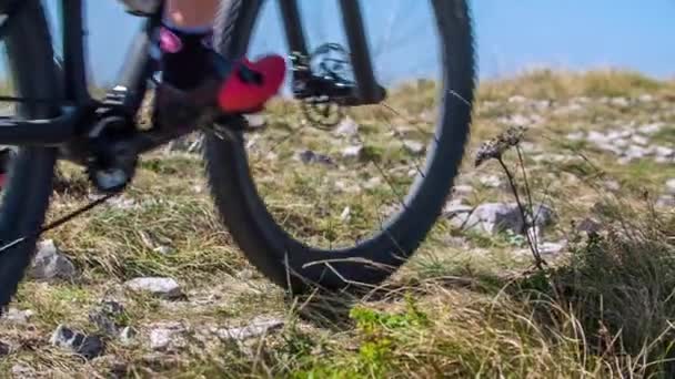 Dos Personas Acercan Cima Una Montaña Bicicleta Verano Clima Soleado — Vídeo de stock