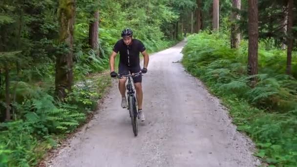 Спортсмен Едет Велосипеде Лес Дышит Свежим Воздухом — стоковое видео