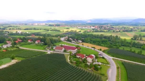 Imagens Aéreas Belo Campo Agro Com Árvores Fruto — Vídeo de Stock