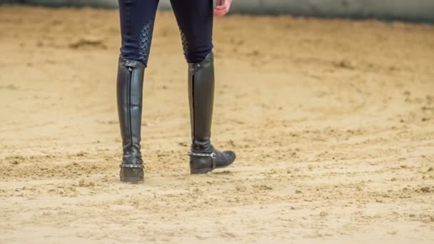若いコーチは馬のアリーナを歩いていて 彼女は特別な黒い革のブーツを着ています — ストック動画