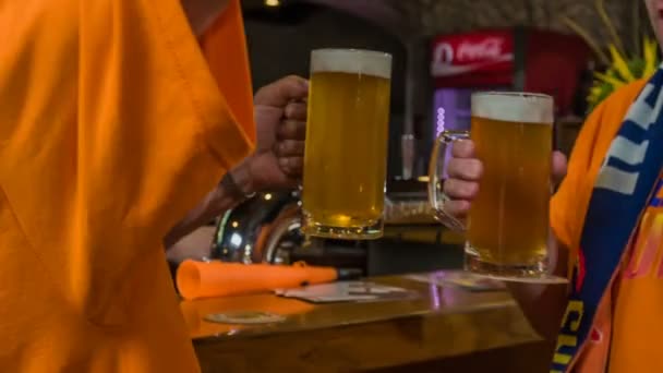 Domzale Eslovenia Julio 2018 Los Aficionados Están Brindando Con Bier — Vídeo de stock