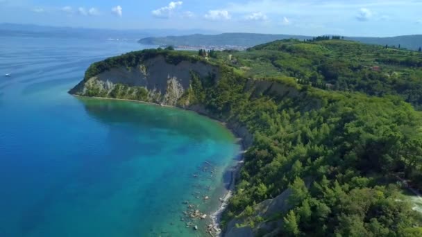 Hermosa Naturaleza Verde Verano Mar También Tiene Bonito Color Azul — Vídeo de stock