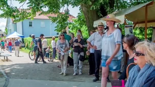 Gente Divirtiéndose Festival Sombreros Paja — Vídeos de Stock