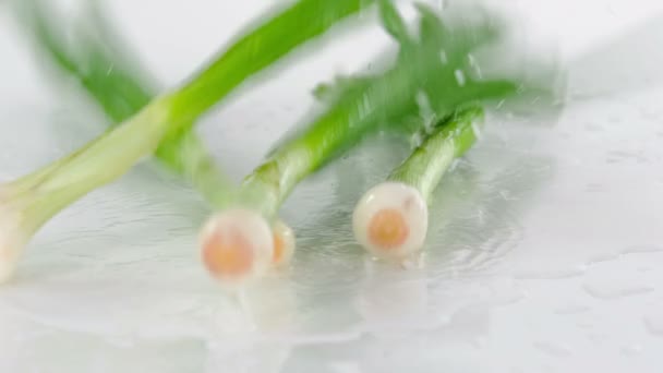 Cuatro Cebollas Verdes Frescas Caen Sobre Mesa Cocina Verdura Increíble — Vídeos de Stock