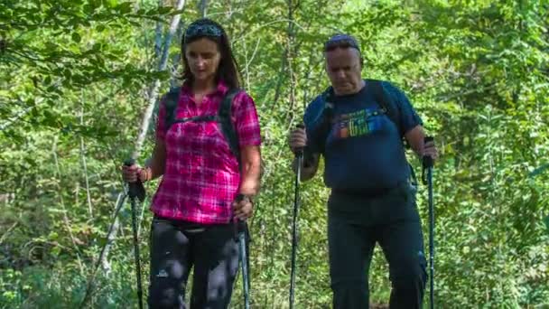 Deux Randonneurs Arrêtent Panneau Décident Ils Veulent Aller Ils Marchent — Video