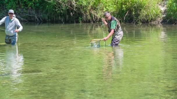 Человек Ловит Рыбу Сеть Потом Вытаскивает Воды — стоковое видео