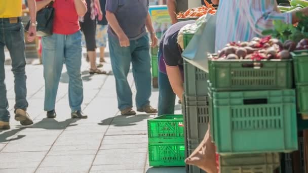 Domzale Σλοβενια Ιουλιου 2018 Άνθρωποι Που Αγοράζουν Φρέσκα Αγροτικά Προϊόντα — Αρχείο Βίντεο
