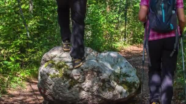 Homme Une Femme Marchent Sur Sentier Forestier Homme Monte Sur — Video