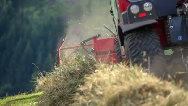 トラクターは農業機械の助けを借りて山に干し草を配置しています 暑い夏の日だ — ストック動画