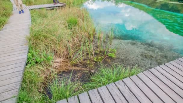 Het Een Zomerdag Bij Het Meer Een Paar Mensen Lopen — Stockvideo