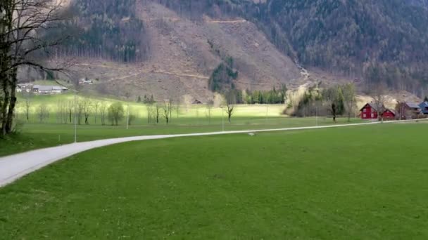 Paisaje Increíble Podemos Ver Hermoso Camino Hierba Verde Montañas Fondo — Vídeos de Stock