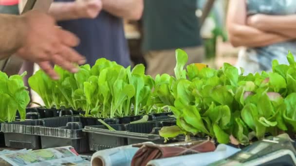 Ein Gemüsehändler Berät Kunden Die Seinem Stand Setzlinge Kaufen Möchten — Stockvideo