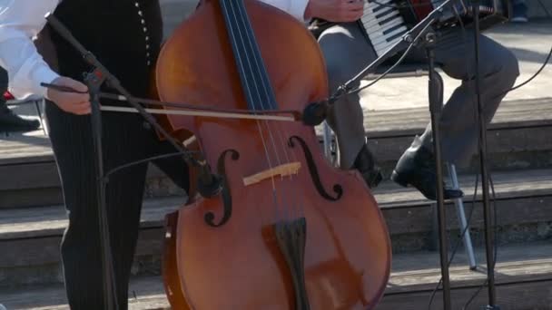 Domzale Slovenien Juni 2018 Bilder Människor Som Firar Semester Torget — Stockvideo