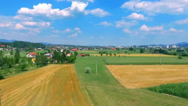 Güneşli Bir Günde Güzel Tarım Alanının Hava Görüntüleri — Stok video