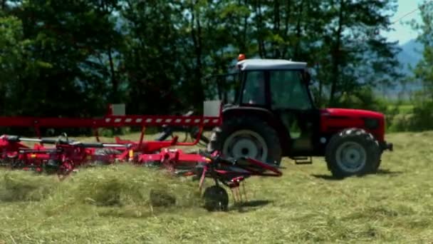 Traktor Otáčí Velkém Poli Při Přípravě Sena Všude Kolem Lítá — Stock video