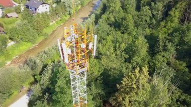 Bir sürü yeşil orman var ve bir nehir akıyor. Hava görüntüsü.