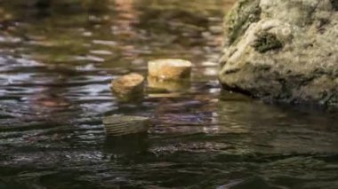 Küçük ahşap sepetler bir nehrin yüzeyinde yüzüyor. Güzel ve güneşli bir gün..
