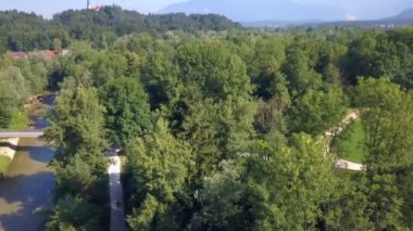 Güzel yeşil doğa, parklar, ormanlar. Hava güneşli. erial çekim.
