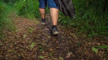 Genç bir balıkçı tüm balıkçı ekipmanlarıyla bir ormanın ortasında yürüyor..