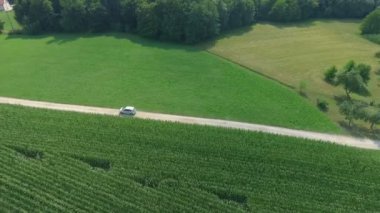 Güneşli bir günde güzel tarım alanının hava görüntüleri.