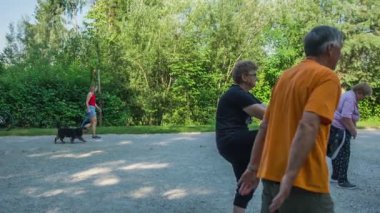 DOMZALE, SLOVENIA - 21. Haziran 2015 'te bir grup insan bacaklarını kaldırıyor. Önce sol bacak, sonra sağ bacak. Parkta güzel bir yaz günü..