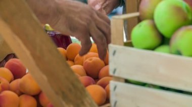 Güzel ve taze turuncu kayısılar. Bir müşteri ve manav en iyilerini seçiyor ve onları kahverengi bir kese kağıdına koyuyorlar. Yaz zamanı..
