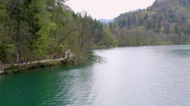 Slovenya 'da gölün üzerindeki su yüzeyinin havadan çekilmiş görüntüleri
