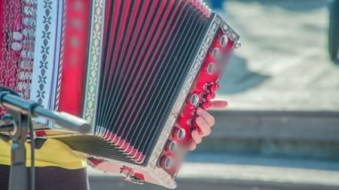 DOMZALE, SLOVENIA - 17. Haziran 2018 'de birisi diğer müzisyenlerle birlikte akordeon çalıyor ve festivalin ziyaretçileri için bir şarkı söylüyor..