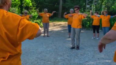 DOMZALE, SLOVENIA - 21. Haziran 2015 'te bir grup yaşlı insan kolları ve elleri için bir egzersiz yapıyor. Güzel bir yaz sabahı..