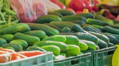 Bu büfede güzel yeşil sebzeler.