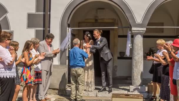 Domzale Slovenia July 2018一对已婚夫妇正试图将鸽子握在手中 — 图库视频影像