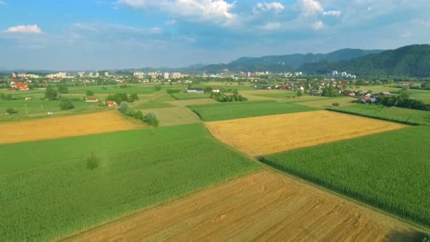 Images Aériennes Beau Champ Agricole Sur Une Journée Ensoleillée — Video