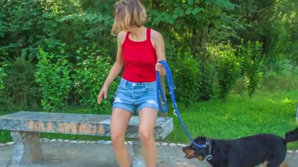 Uma Jovem Está Caminhando Seu Cão Direção Banco Seguida Ela — Vídeo de Stock
