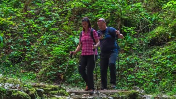 Couple Marche Sur Pont Dans Une Forêt Paysage Est Vraiment — Video