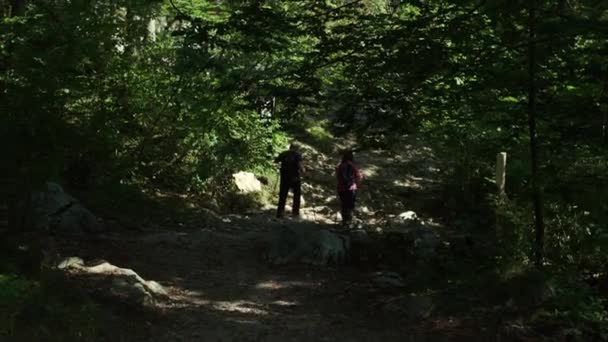 Δύο Πεζοπόροι Βρήκαν Σκιά Στο Δάσος Κατά Διάρκεια Της Πεζοπορίας — Αρχείο Βίντεο