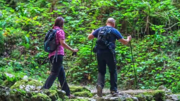 Una Coppia Sta Facendo Escursione Sta Attraversando Ponte Una Foresta — Video Stock