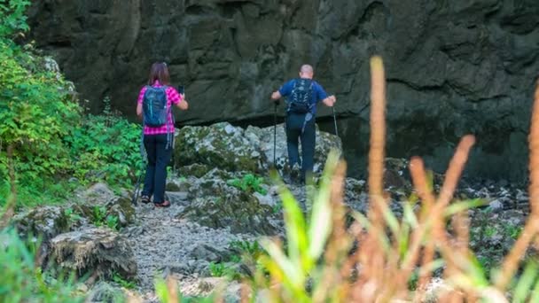 Ведучий Ступає Великий Камінь Жінка Зробить Йому Фотографію Вони Ходять — стокове відео