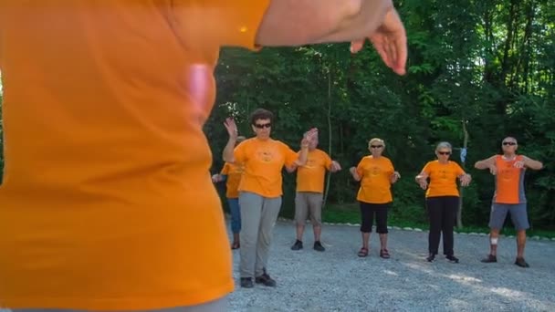 Domzale Slovenia 6月2015人々のグループは 自分の体のすべての部分のための異なる演習を行っています 彼らは彼らの手のための運動をしている — ストック動画