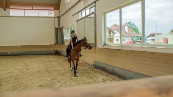 Een Jong Meisje Strelen Haar Paard Haar Grote Paardrijden Sessie — Stockvideo