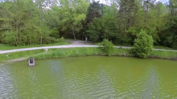 Ung Man Cyklar Runt Sjön Vrbnje Slovenien Det Sommar Och — Stockvideo