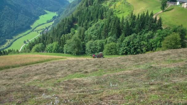 Трактор Едет Вверх Холму Подстригает Траву День Солнечный Красивый — стоковое видео