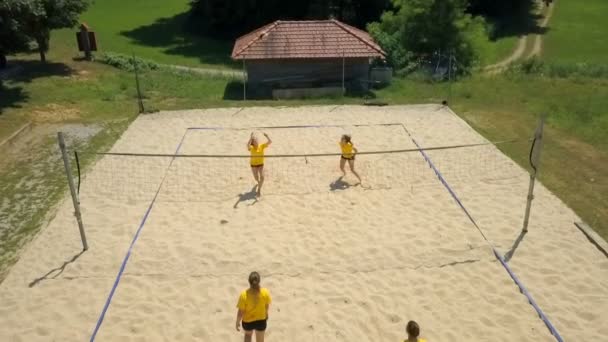 四个人正在一个漂亮的沙质排球场上打排球 场地是绿色的 他们在服务 封锁和挖掘 这些是排球的基本动作 — 图库视频影像