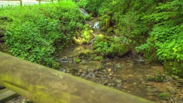 Zalec Celje Slovenia May 2017 Stream Bridge Nice Summer Day — Stock Video