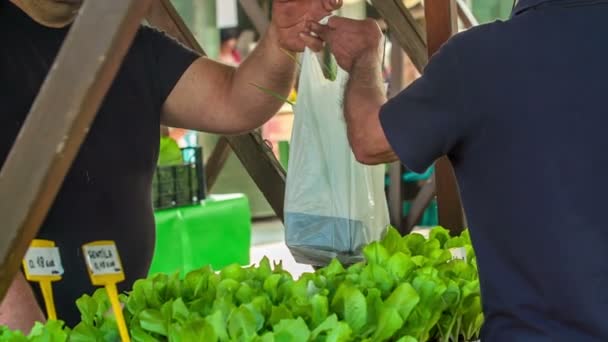 Domzale Eslovenia Julio 2018 Personas Comprando Producción Agricultores Frescos Mercado — Vídeos de Stock