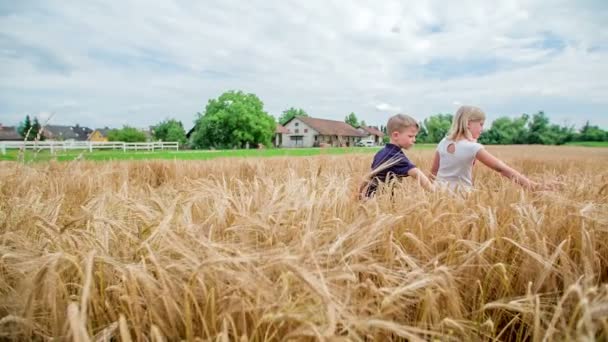 Yazın Iki Çocuk Buğday Tarlasında Yavaşça Yürüyor Buğday Kulaklarına Dokunuyorlar — Stok video