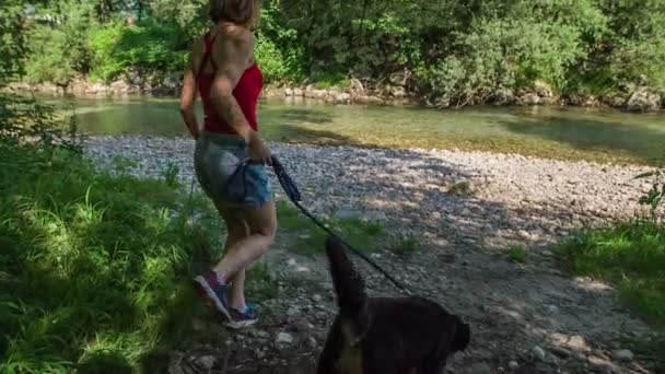 Молодой Хозяин Собака Идут Реке Красивая Собака Сможет Поплавать — стоковое видео