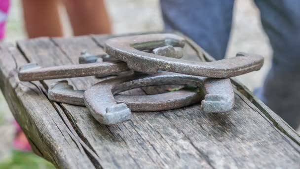 Beaucoup Fers Cheval Sur Banc Bois Chacun Des Enfants Prend — Video