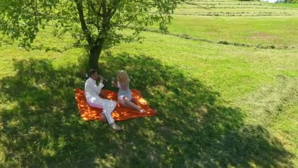 一对夫妇在一棵树下的橙色毯子上喝酒 他们在一起玩得很开心 空中射击 — 图库视频影像